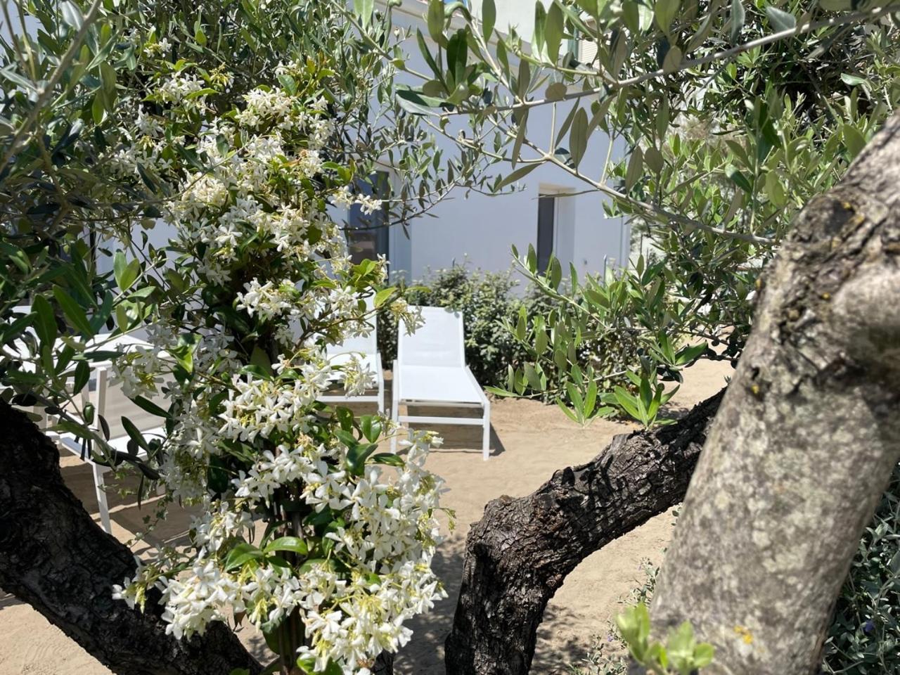 Villa Le Agavi Luxory Beach Surfhouse 벨레지아아지마리나 외부 사진